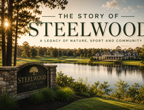 The Story of Steelwood